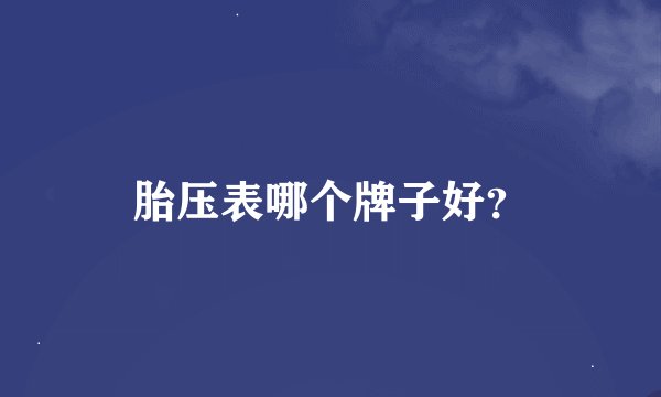 胎压表哪个牌子好？