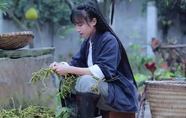 李子柒事件的结局是什么?