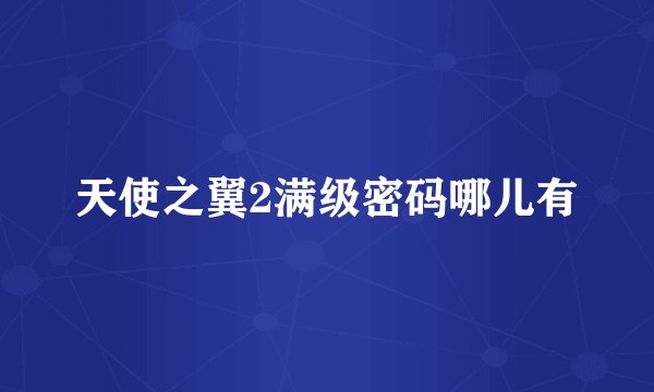 天使之翼2满级密码哪儿有