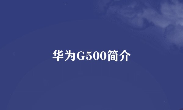 华为G500简介