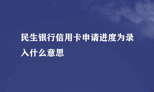 民生银行信用卡申请进度为录入什么意思