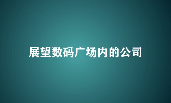 展望数码广场内的公司