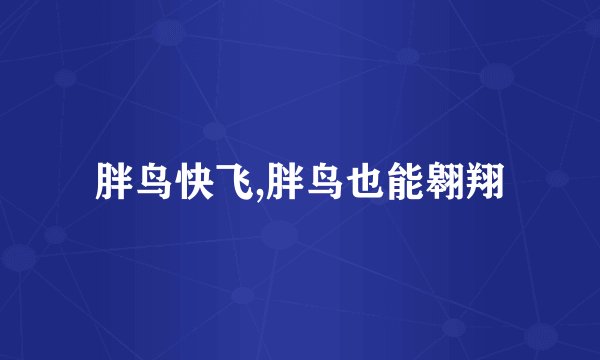 胖鸟快飞,胖鸟也能翱翔