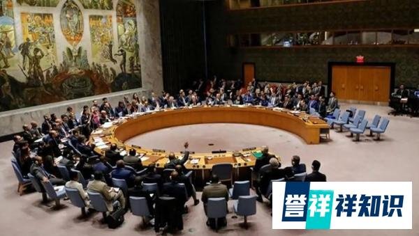 巴勒斯坦代表在联合国哽咽发问，触动人心