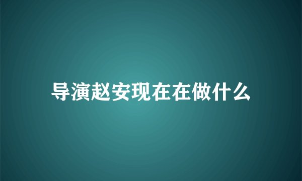 导演赵安现在在做什么