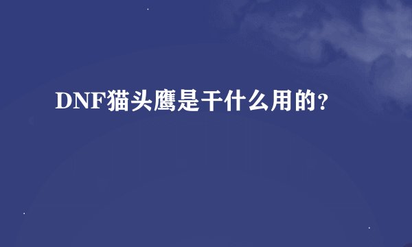 DNF猫头鹰是干什么用的？