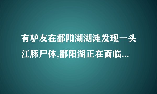 有驴友在鄱阳湖湖滩发现一头江豚尸体,鄱阳湖正在面临怎样的困境?