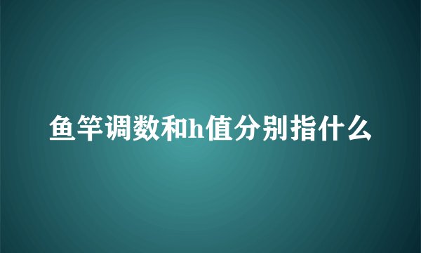 鱼竿调数和h值分别指什么