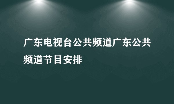 广东电视台公共频道广东公共频道节目安排
