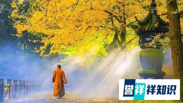 都是欲望惹的祸,《画皮》带给我们这样的道理!