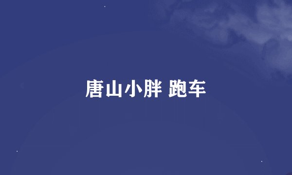 唐山小胖 跑车