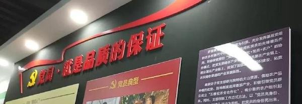 农业要发展必须走高质量，规模化发展道路