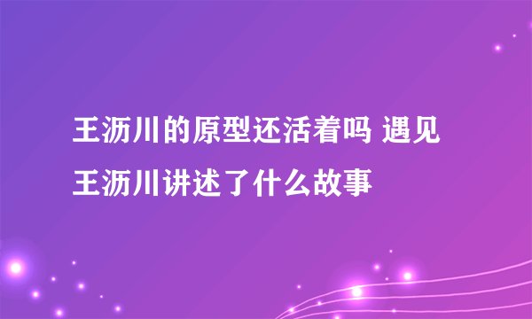王沥川的原型还活着吗 遇见王沥川讲述了什么故事