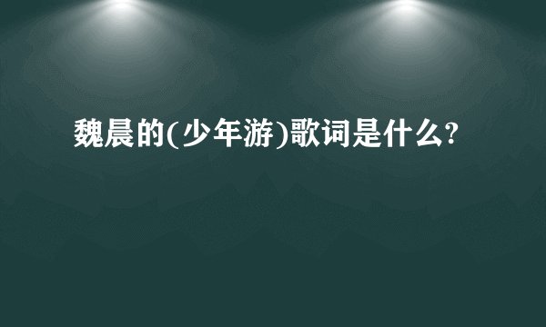 魏晨的(少年游)歌词是什么?