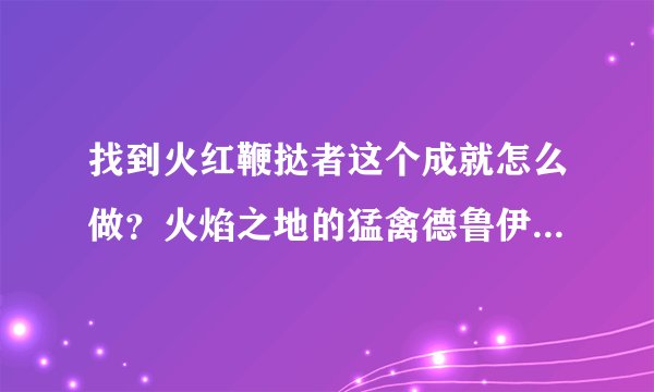 找到火红鞭挞者这个成就怎么做？火焰之地的猛禽德鲁伊，这个火焰之地是那个副本火焰裂口还是其他地方？