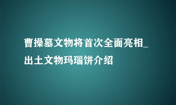 曹操墓文物将首次全面亮相_出土文物玛瑙饼介绍