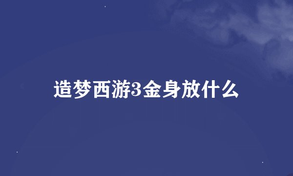 造梦西游3金身放什么