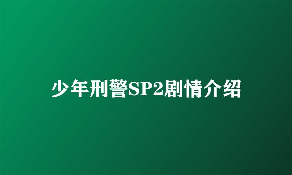 少年刑警SP2剧情介绍