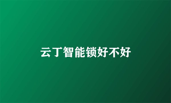 云丁智能锁好不好