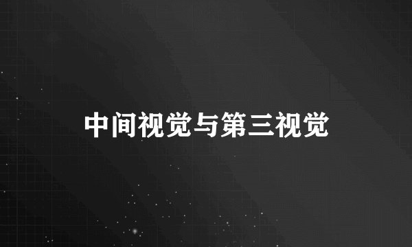 中间视觉与第三视觉