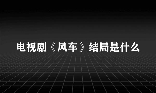 电视剧《风车》结局是什么