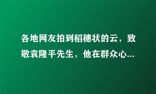 各地网友拍到稻穗状的云，致敬袁隆平先生，他在群众心目中有多伟大？