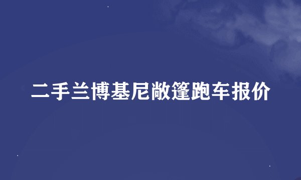二手兰博基尼敞篷跑车报价