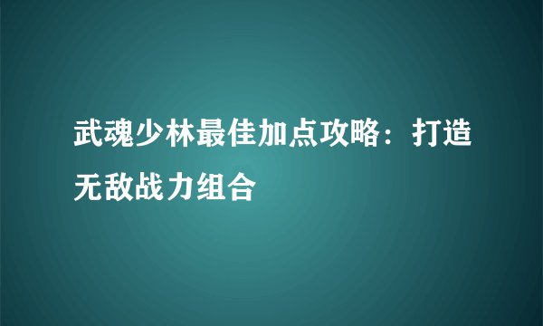 武魂少林最佳加点攻略：打造无敌战力组合
