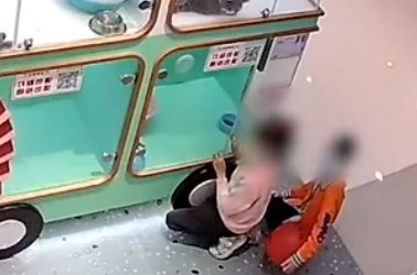 成都俩小孩打配合偷走宠物店价值3600元的猫咪，家长是否需要为此担责？