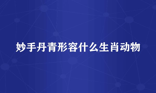 妙手丹青形容什么生肖动物