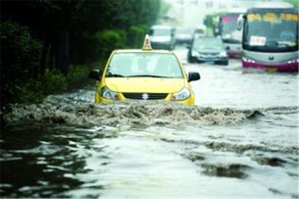 四川暴雨!大鱼游上街头乱窜,这鱼从哪来的?