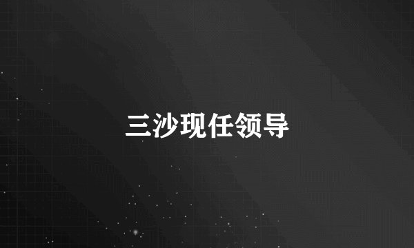 三沙现任领导