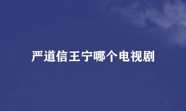 严道信王宁哪个电视剧
