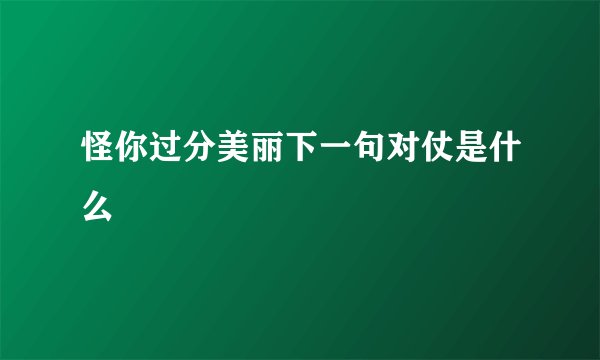 怪你过分美丽下一句对仗是什么