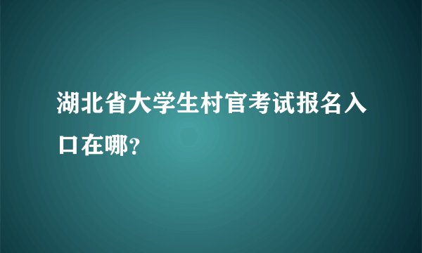 湖北省大学生村官考试报名入口在哪？