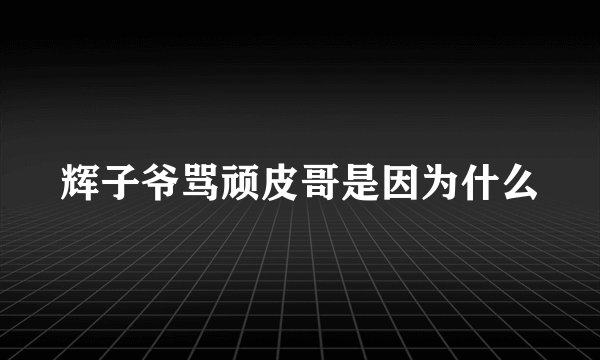 辉子爷骂顽皮哥是因为什么