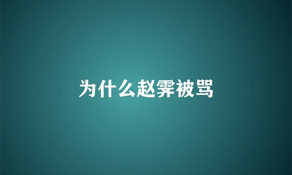 为什么赵霁被骂