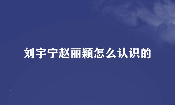 刘宇宁赵丽颖怎么认识的