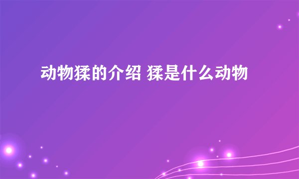 动物猱的介绍 猱是什么动物