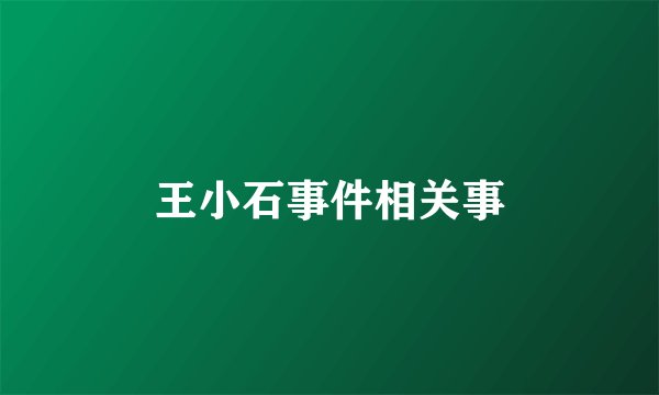 王小石事件相关事