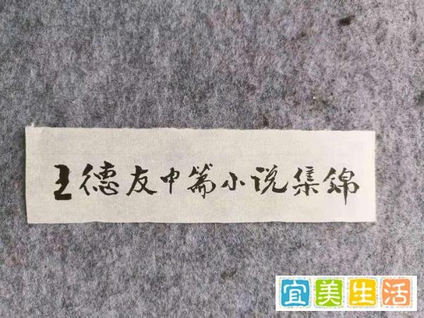 中篇小说连载之一五六：看不见的战线