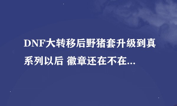 DNF大转移后野猪套升级到真系列以后 徽章还在不在了 谢谢，哪些附加的属性还在。
