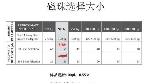 磁珠纯化原理