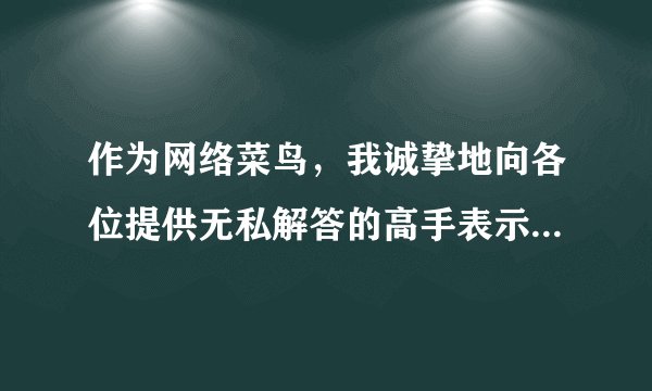 作为网络菜鸟，我诚挚地向各位提供无私解答的高手表示诚挚的谢意！！！有一事相求