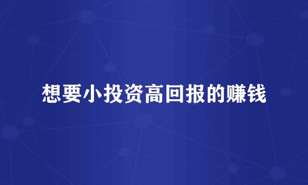 想要小投资高回报的赚钱