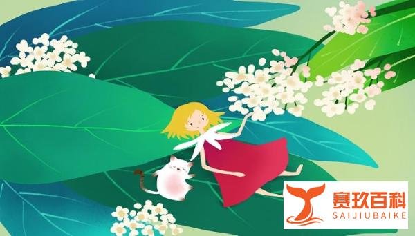 “零帕族”的价值观,爱情观,值得拼命的人去学习