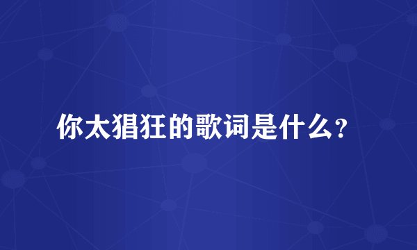 你太猖狂的歌词是什么？