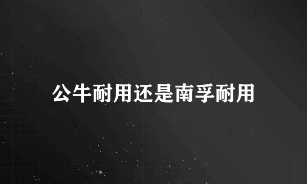 公牛耐用还是南孚耐用
