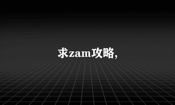 求zam攻略,