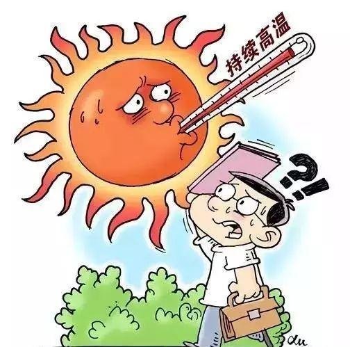 活虾从菜场拎到家熟了三只,浙江究竟有多热?